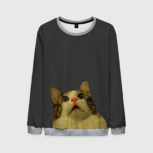 Мужской свитшот Коте смотрит вверх / 3D-Меланж – фото 1