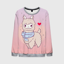 Мужской свитшот Альпака