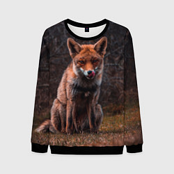 Свитшот мужской Хищная лисица, цвет: 3D-черный