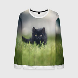 Свитшот мужской Черный кот на лугу, цвет: 3D-белый