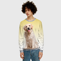 Свитшот мужской Лабрадор ретривер пес, цвет: 3D-меланж — фото 2