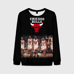 Свитшот мужской CHICAGO BULLS 3, цвет: 3D-черный