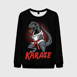 Свитшот мужской KARATE T-REX, цвет: 3D-черный