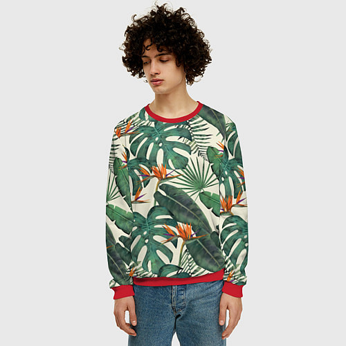 Мужской свитшот Тропический паттерн / 3D-Красный – фото 3