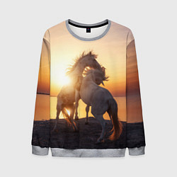 Свитшот мужской Лошади на закате, цвет: 3D-меланж