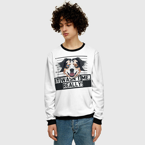 Мужской свитшот Австралийская Овчарка Australian Shepherd / 3D-Черный – фото 3
