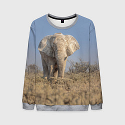 Свитшот мужской Африканский белый слон, цвет: 3D-меланж