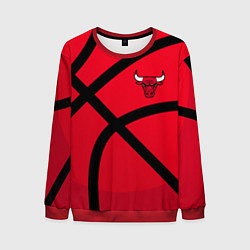 Свитшот мужской Чикаго Буллз Chicago Bulls NBA, цвет: 3D-красный
