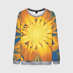Свитшот мужской Солнечный цветок Абстракция 535-332-32, цвет: 3D-меланж