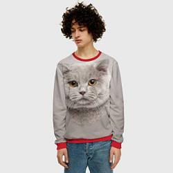 Свитшот мужской Милая британка, цвет: 3D-красный — фото 2