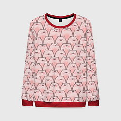 Мужской свитшот Пухлые хрюни