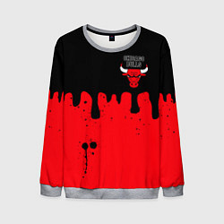 Мужской свитшот Chicago Bulls Чикаго Буллз Логотип