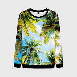 Мужской свитшот Пальмы под солнцем