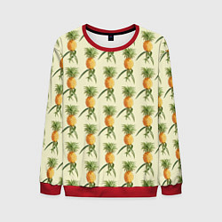 Свитшот мужской Побеги ананасов, цвет: 3D-красный