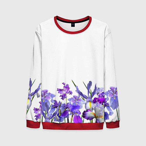 Мужской свитшот Любимые Ирисы / 3D-Красный – фото 1