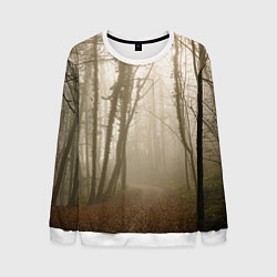 Свитшот мужской Туманный лес на восходе, цвет: 3D-белый
