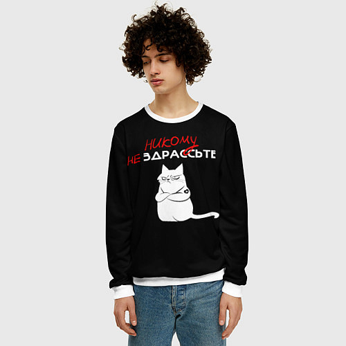 Мужской свитшот Неприветливый кот / 3D-Белый – фото 3