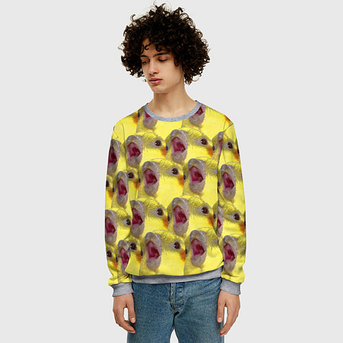 Мужской свитшот Попугай Корелла Орёт Мем / 3D-Меланж – фото 3