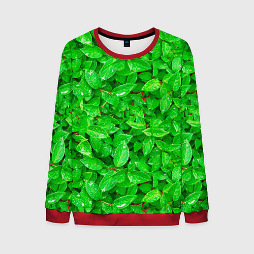 Мужской свитшот Зелёные листья - текстура / 3D-Красный – фото 1