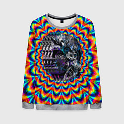 Свитшот мужской Психоделика - античная иллюзия, цвет: 3D-меланж
