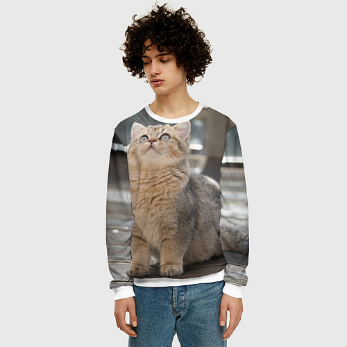 Мужской свитшот Британская короткошёрстная кошка смотрит вверх / 3D-Белый – фото 3