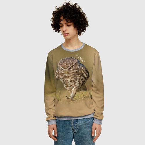 Мужской свитшот Штош - мем - совёнок / 3D-Меланж – фото 3