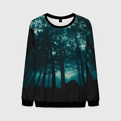 Свитшот мужской Тёмный лес на закате, цвет: 3D-черный