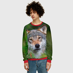 Свитшот мужской Волк на фоне зелени, цвет: 3D-красный — фото 2
