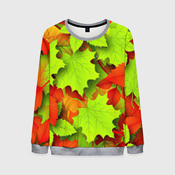 Свитшот мужской Зелёные осенние листья, цвет: 3D-меланж