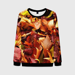 Свитшот мужской Куча осенних листьев, цвет: 3D-черный