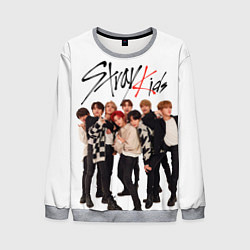 Свитшот мужской Stray Kids white background, цвет: 3D-меланж