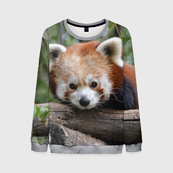 Свитшот мужской Красная панда, цвет: 3D-меланж