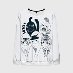 Свитшот мужской Любопытные кошки, цвет: 3D-белый