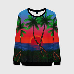 Свитшот мужской Пальмы и море, цвет: 3D-черный