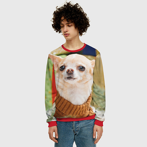 Мужской свитшот Праздничный чихуахуа / 3D-Красный – фото 3