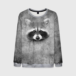 Свитшот мужской Енот - grunge style texture, цвет: 3D-меланж