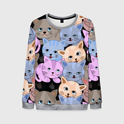 Мужской свитшот Cats party