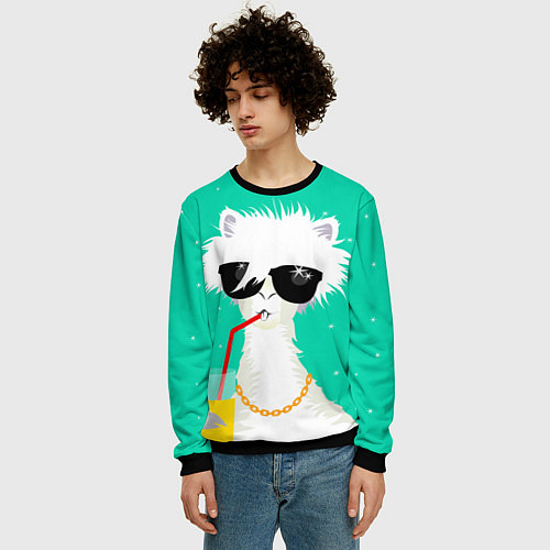 Мужской свитшот Лама - альпака на чиле / 3D-Черный – фото 3