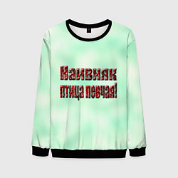 Свитшот мужской Птица певчая, цвет: 3D-черный
