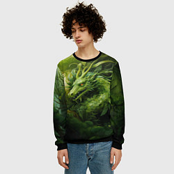 Свитшот мужской Зеленый травяной дракон, цвет: 3D-черный — фото 2