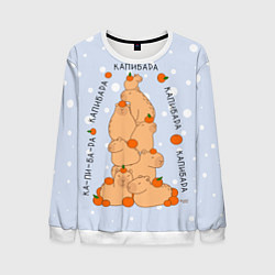 Мужской свитшот Гора капибара с мандаринами