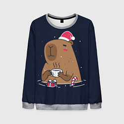 Свитшот мужской Новогодняя капибара - 2024, цвет: 3D-меланж