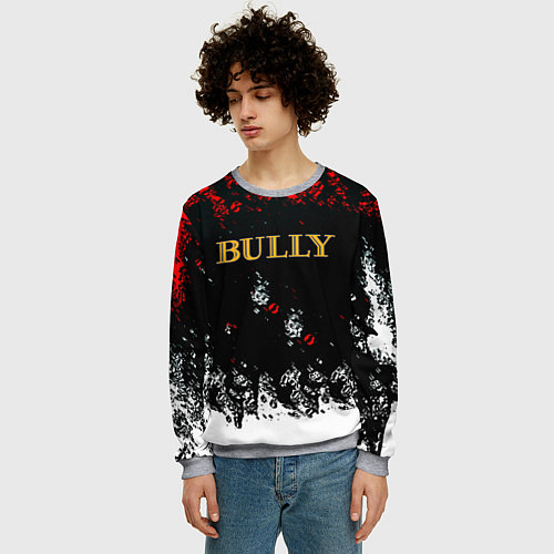 Мужской свитшот Bully краски / 3D-Меланж – фото 3