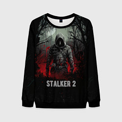 Свитшот мужской Stalker 2 dark mode, цвет: 3D-черный