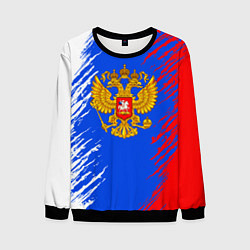 Мужской свитшот Триколор штрихи с гербор