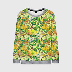 Мужской свитшот Птица на грушевом дереве