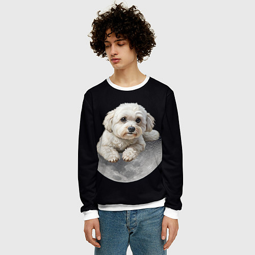 Мужской свитшот Бишон фризе и луна / 3D-Белый – фото 3