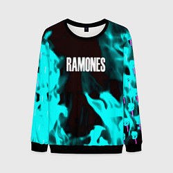 Свитшот мужской Ramones fire rose, цвет: 3D-черный