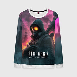 Свитшот мужской Stalker 2 радиоактивный фон, цвет: 3D-белый