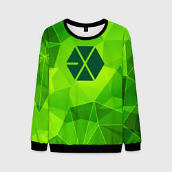 Свитшот мужской Exo green poly, цвет: 3D-черный